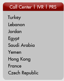 Virgo International Network