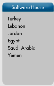 Virgo International Network