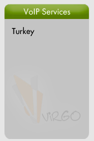 Virgo International Network